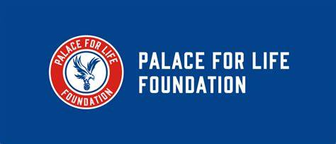 Palace for Life Foundation - Senior Marketing & Communications Coordinator