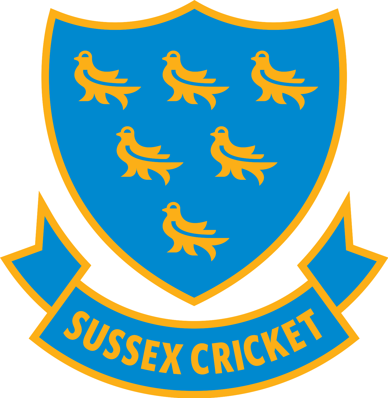 Walking Cricket (Sussex Cricket Foundation)