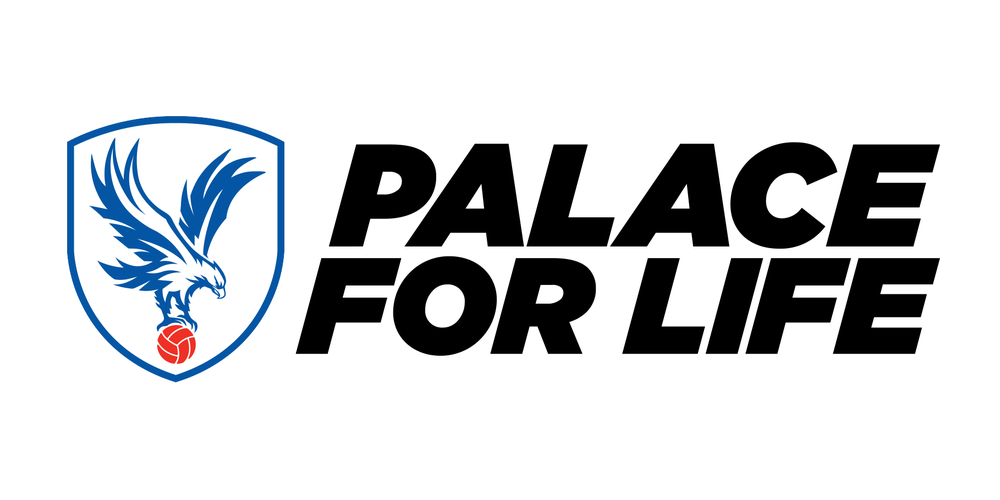 Get Involved (Palace for Life Foundation)